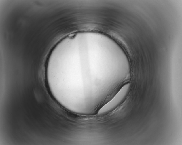 X0000088021467200706081431