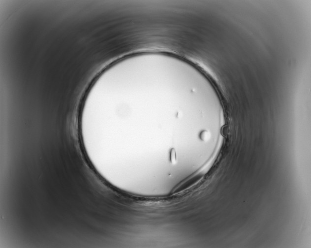 X0000088021468200706081431