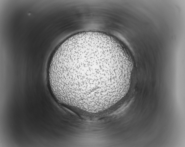 X0000088021469200706081431