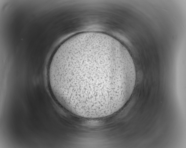 X0000088021470200706081431