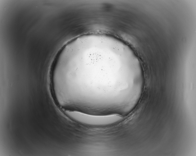 X0000088021471200706081431