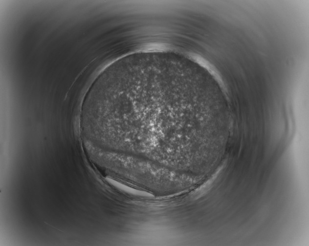 X0000088021473200706081431