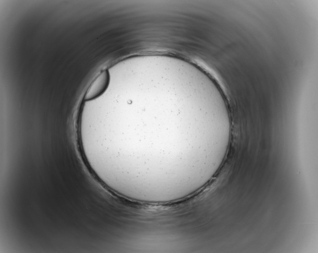 X0000088021475200706081431