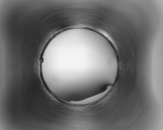 X0000088021476200706081431