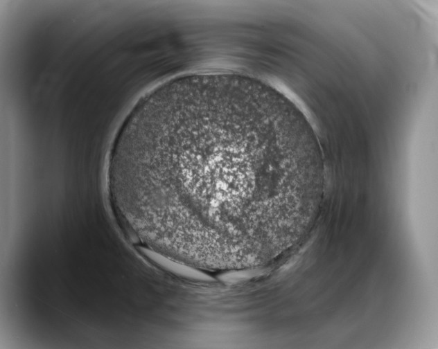 X0000088021477200706081431