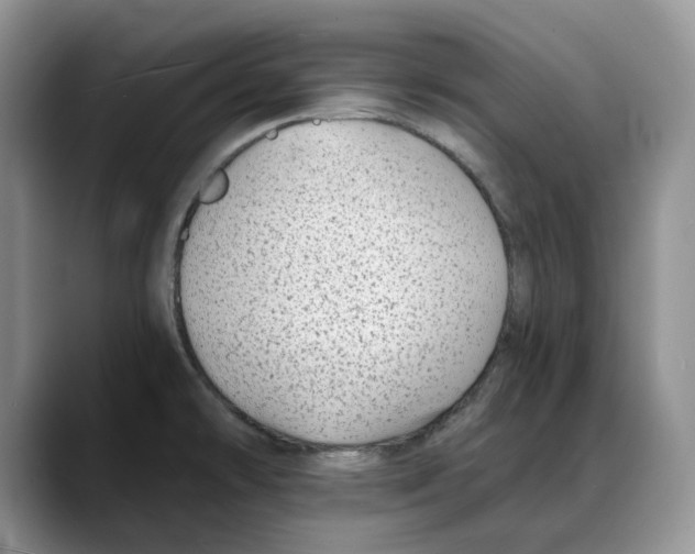 X0000088021478200706081431