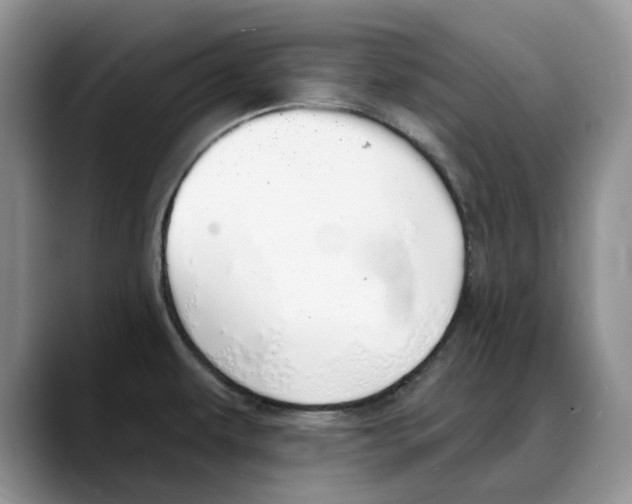 X0000088021479200706081431