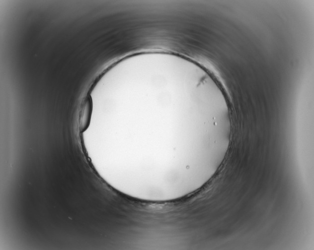 X0000088021480200706081431