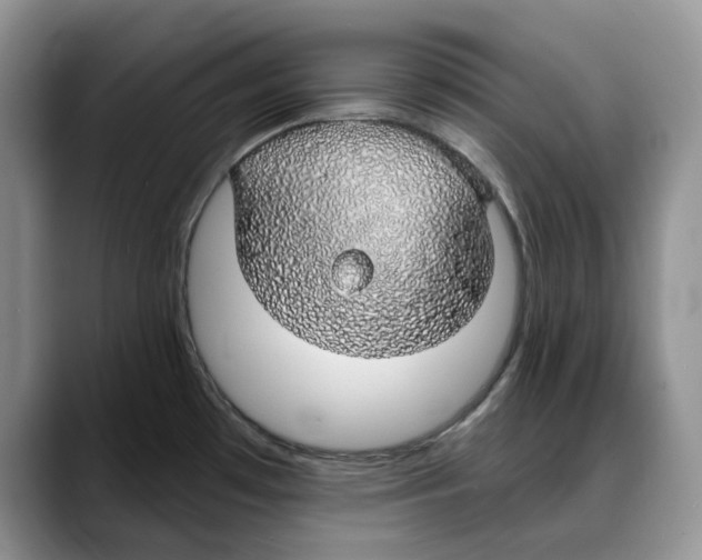 X0000088021481200706081431