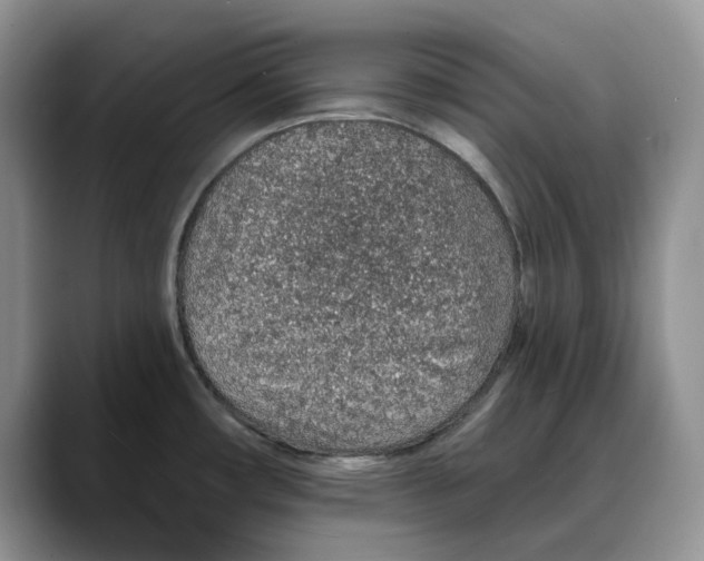 X0000088021482200706081431