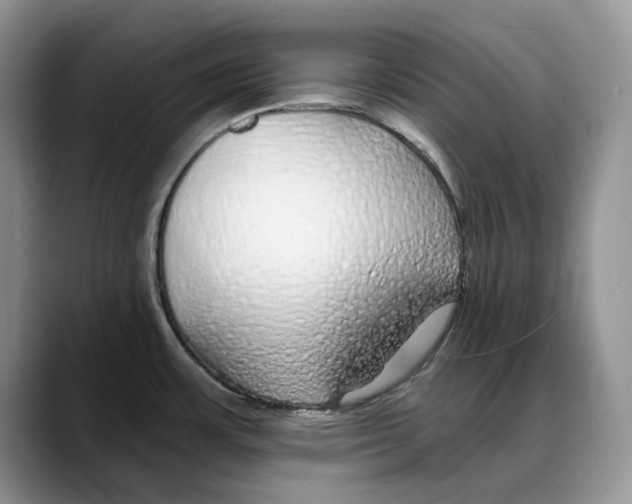 X0000088021483200706081431