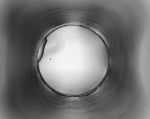 X0000088021484200706081431