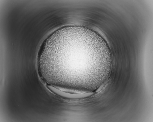 X0000088021485200706081431