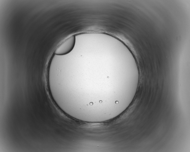 X0000088021486200706081431