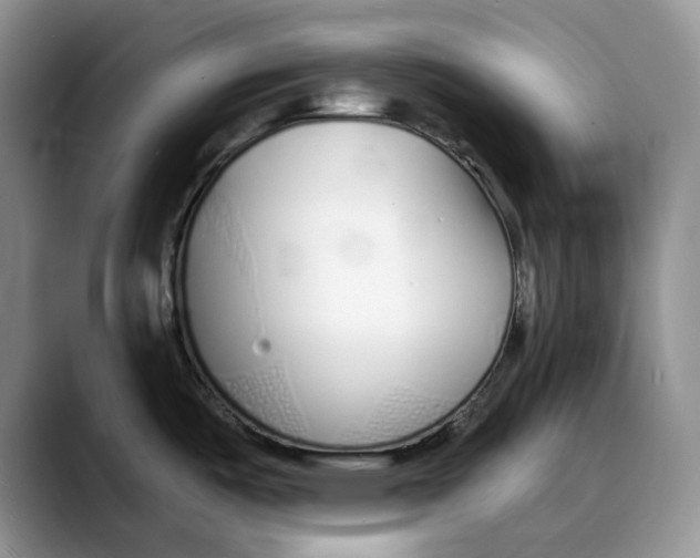 X0000088021487200706081431