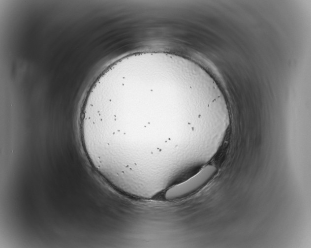 X0000088021488200706081431