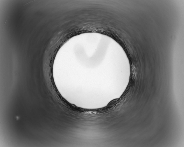 X0000088021489200706081430