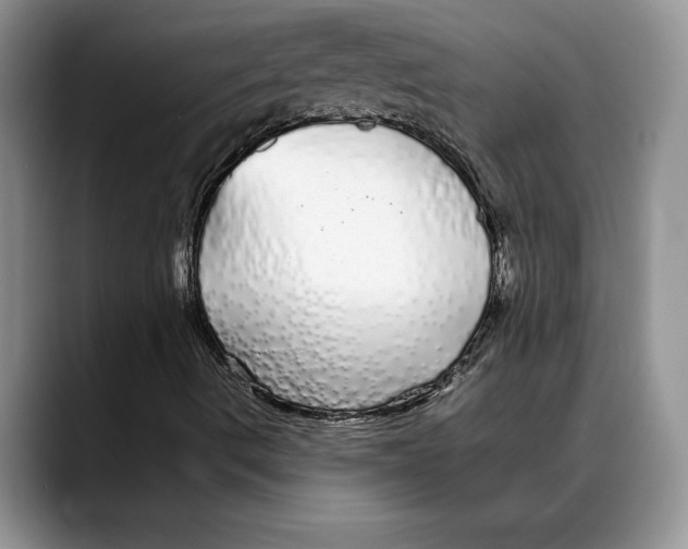 X0000088021490200706081430