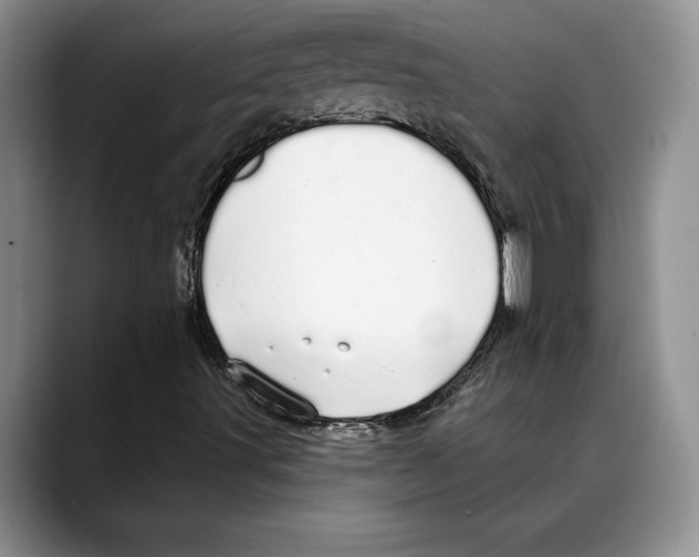 X0000088021491200706081430