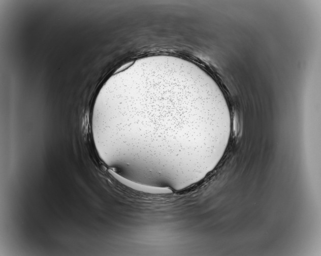 X0000088021492200706081430