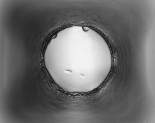 X0000088021494200706081431