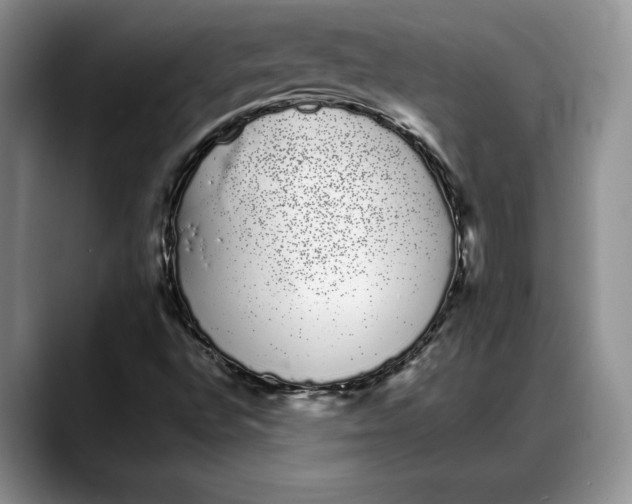 X0000088021496200706081431