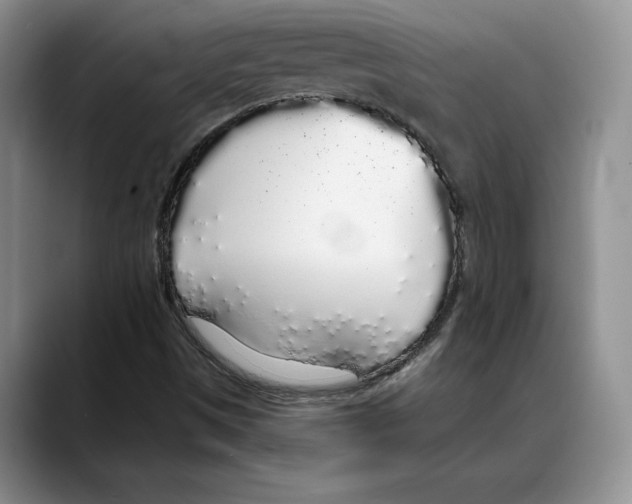 X0000088021497200706081431