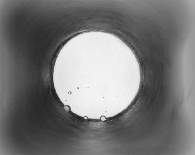 X0000088021498200706081431