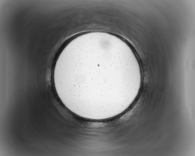 X0000088021499200706081431