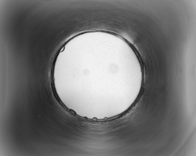 X0000088021500200706081431