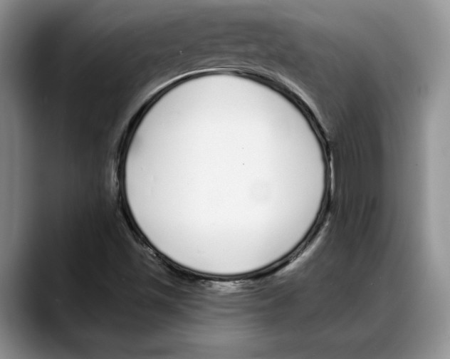 X0000088021501200706081431