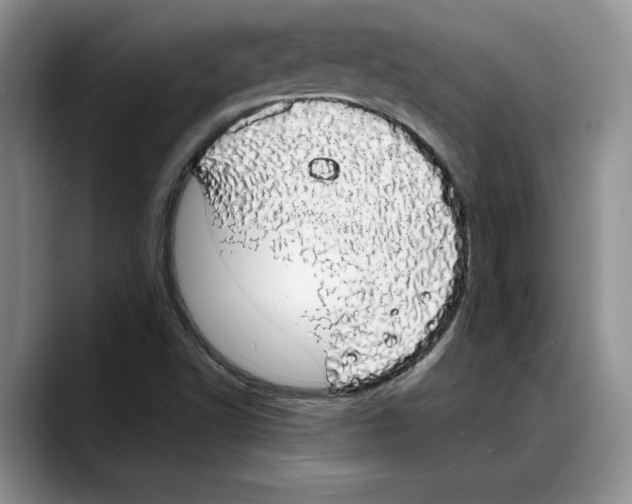 X0000088021502200706081431