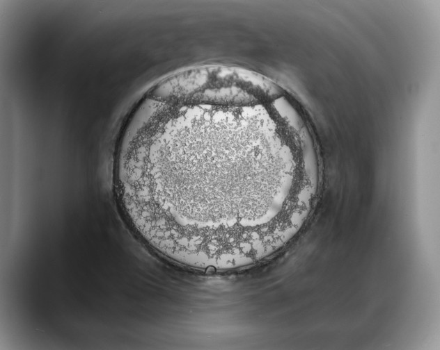 X0000088021504200706081431