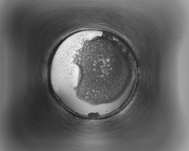 X0000088021506200706081431