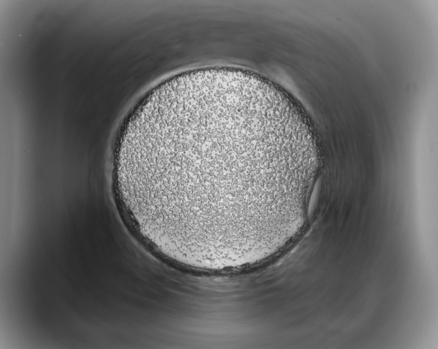 X0000088021508200706081431