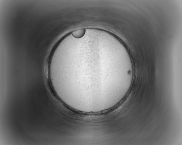 X0000088021510200706081431