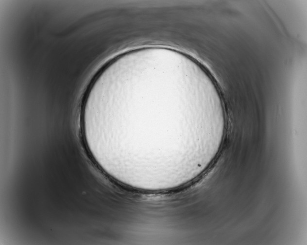 X0000088021511200706081431