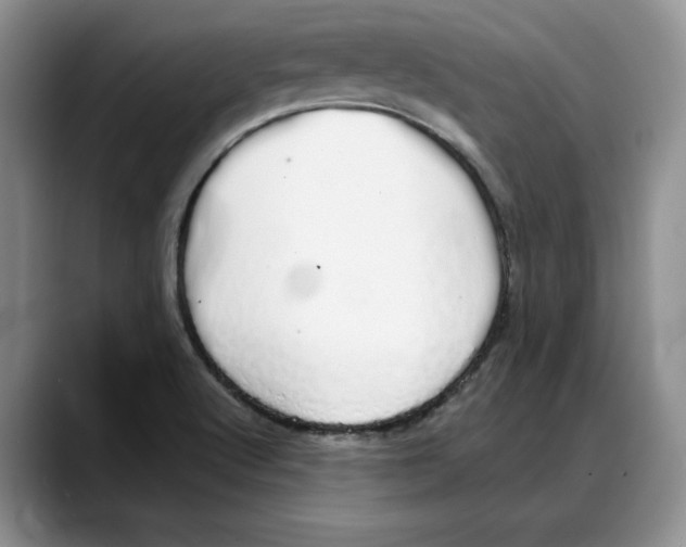 X0000088021512200706081431