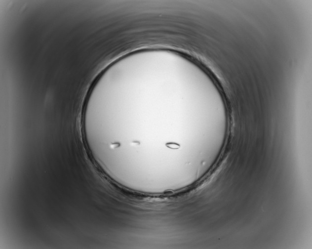 X0000088021513200706081431