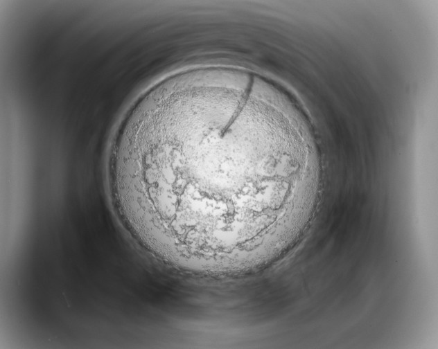 X0000088021514200706081431