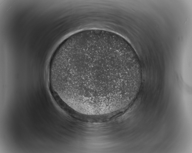 X0000088021515200706081431