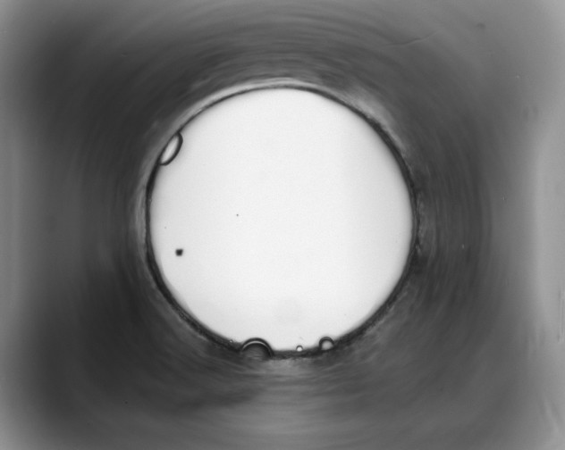 X0000088021516200706081431