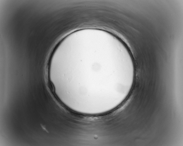 X0000088021517200706081431