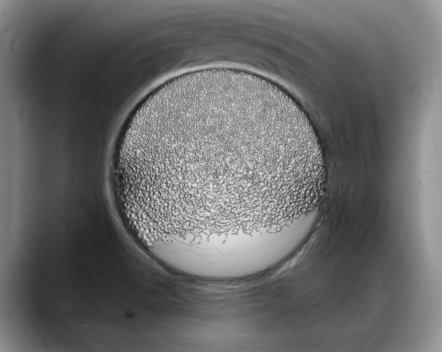 X0000088021518200706081431