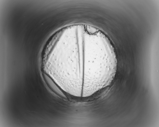 X0000088021519200706081431