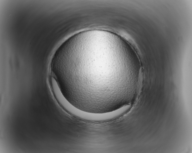 X0000088021520200706081431