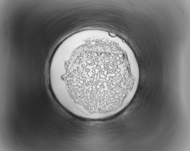 X0000088021522200706081431