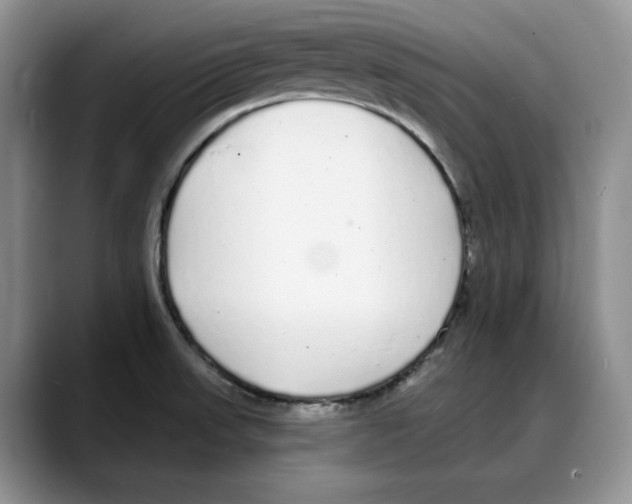 X0000088021523200706081431