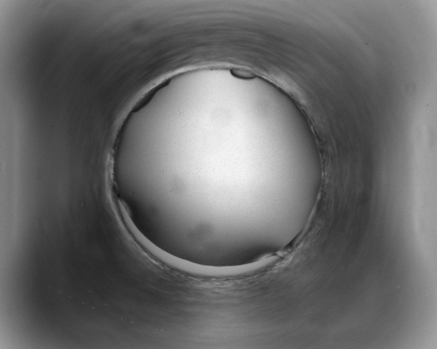 X0000088021524200706081431