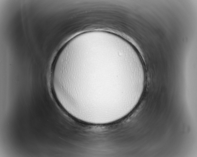 X0000088021525200706081431